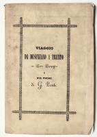 Viaggio da Desenzano a Trento