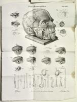 Malattie degli occhi precedute dalla vita del medesimo, di Giacomo Tagliaferri, coll'aggiunta di tutto cio' che scrisse l'autore su tali malattie; opera completa. 