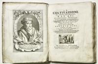 La coltivazione di.. e le api di... 